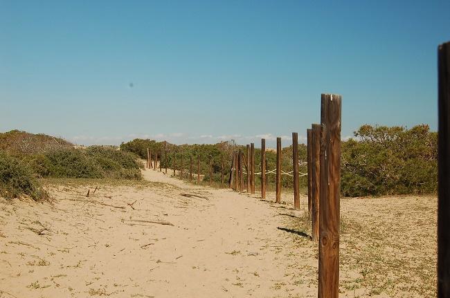 Apartamento Pinada Beach- La Mata 拉马他 外观 照片